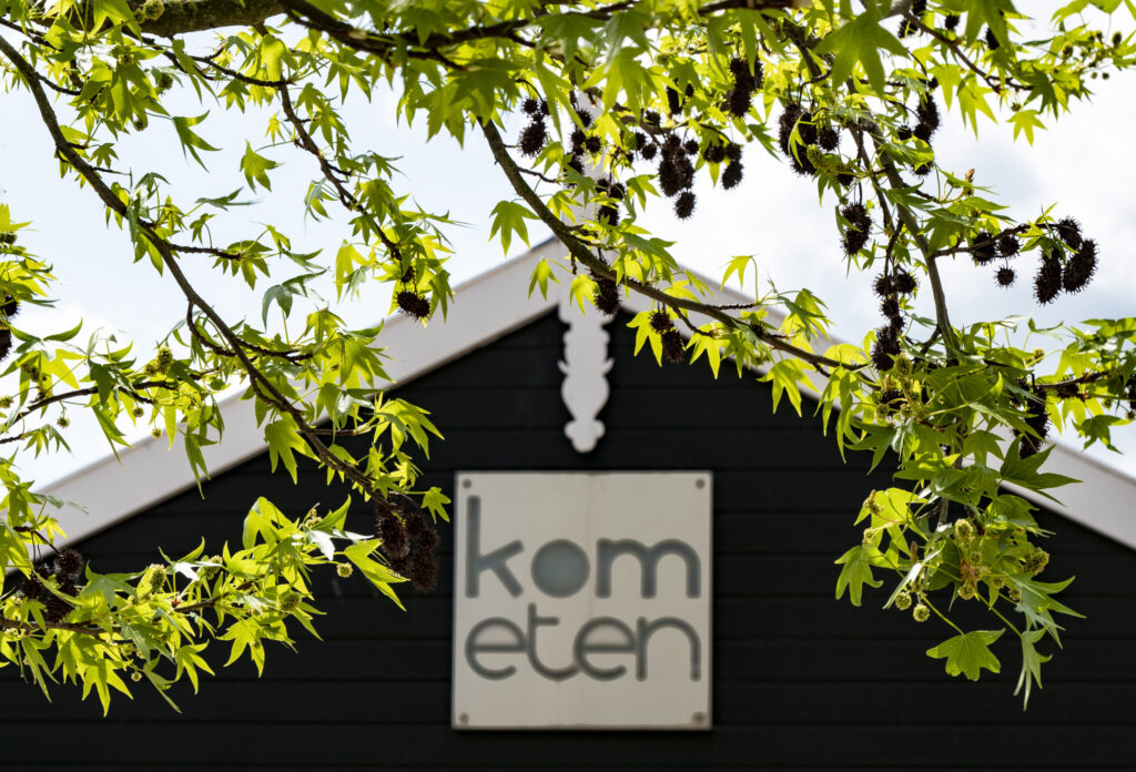 kometen voorjaar