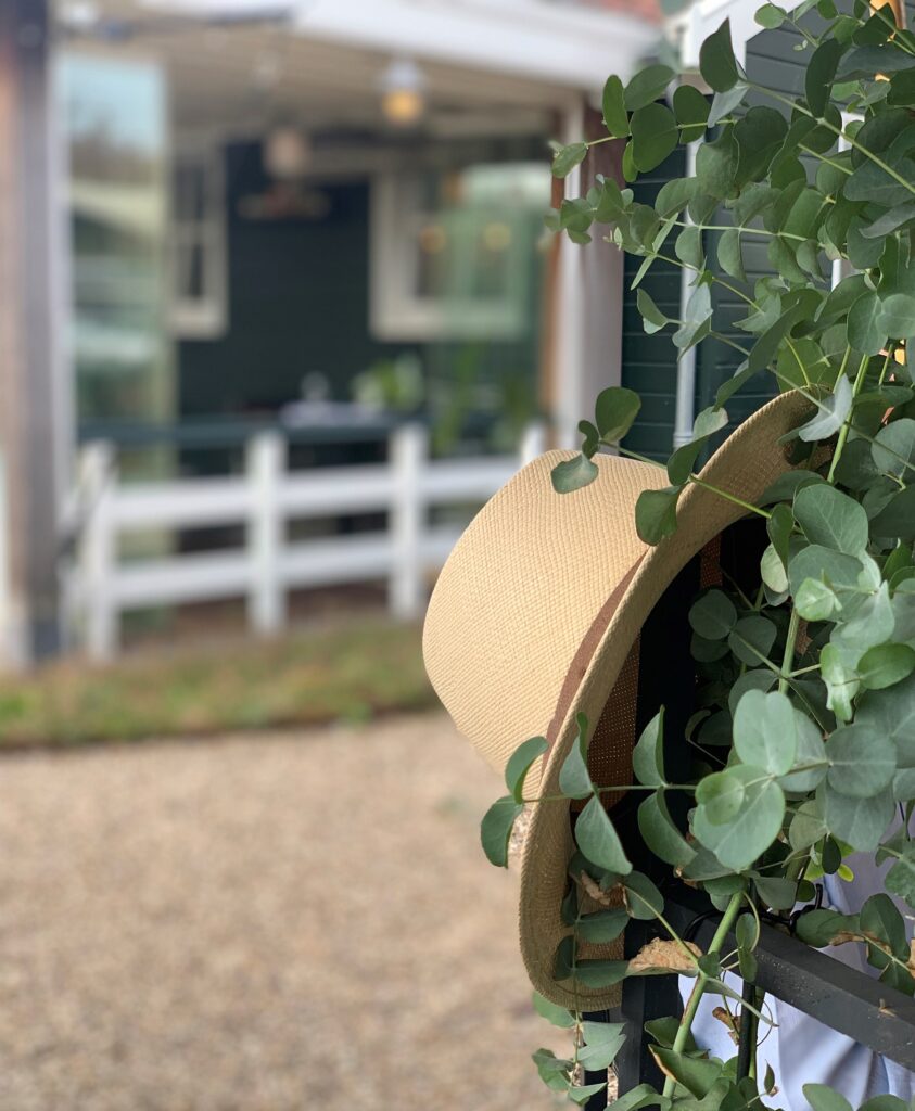 hoed en eucalyptus-kometen-hoogmade-bij