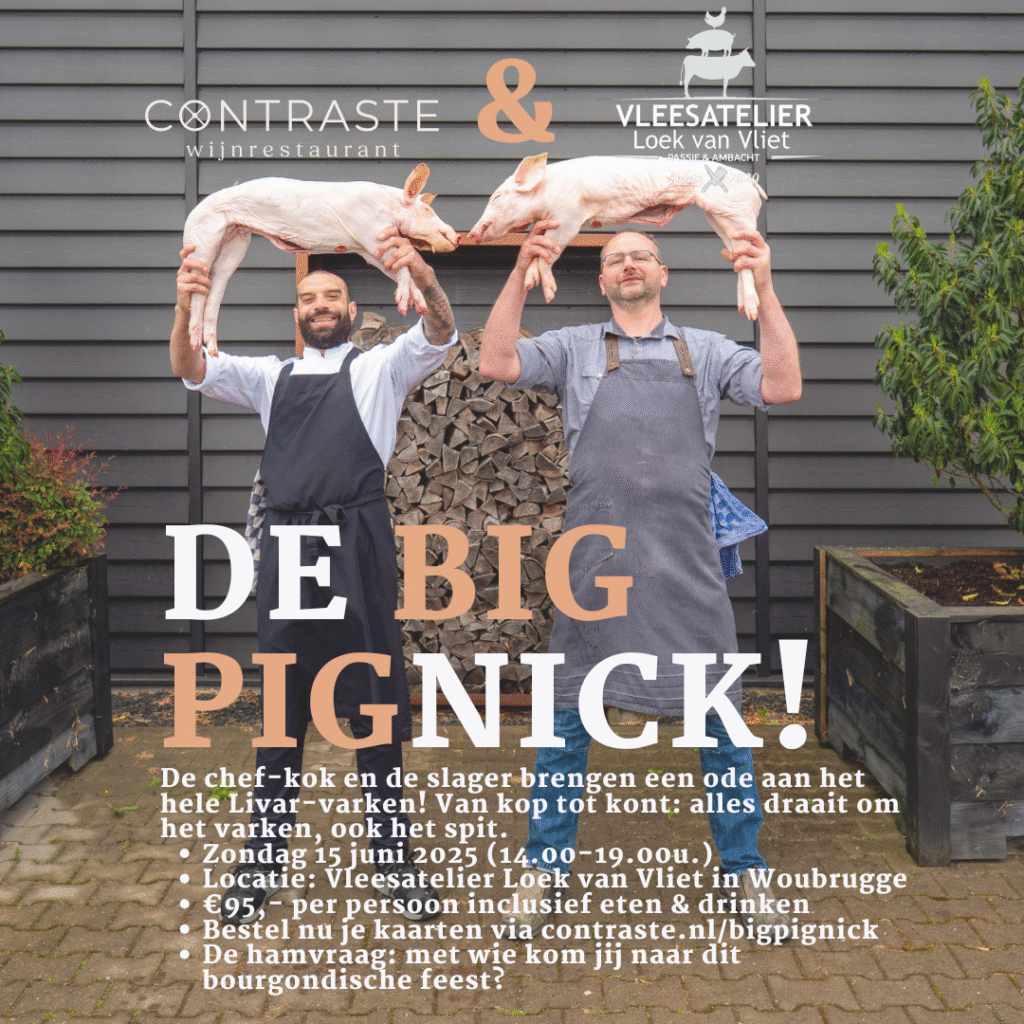 20250615-De Big Pignick (1080 x 1080 px)
